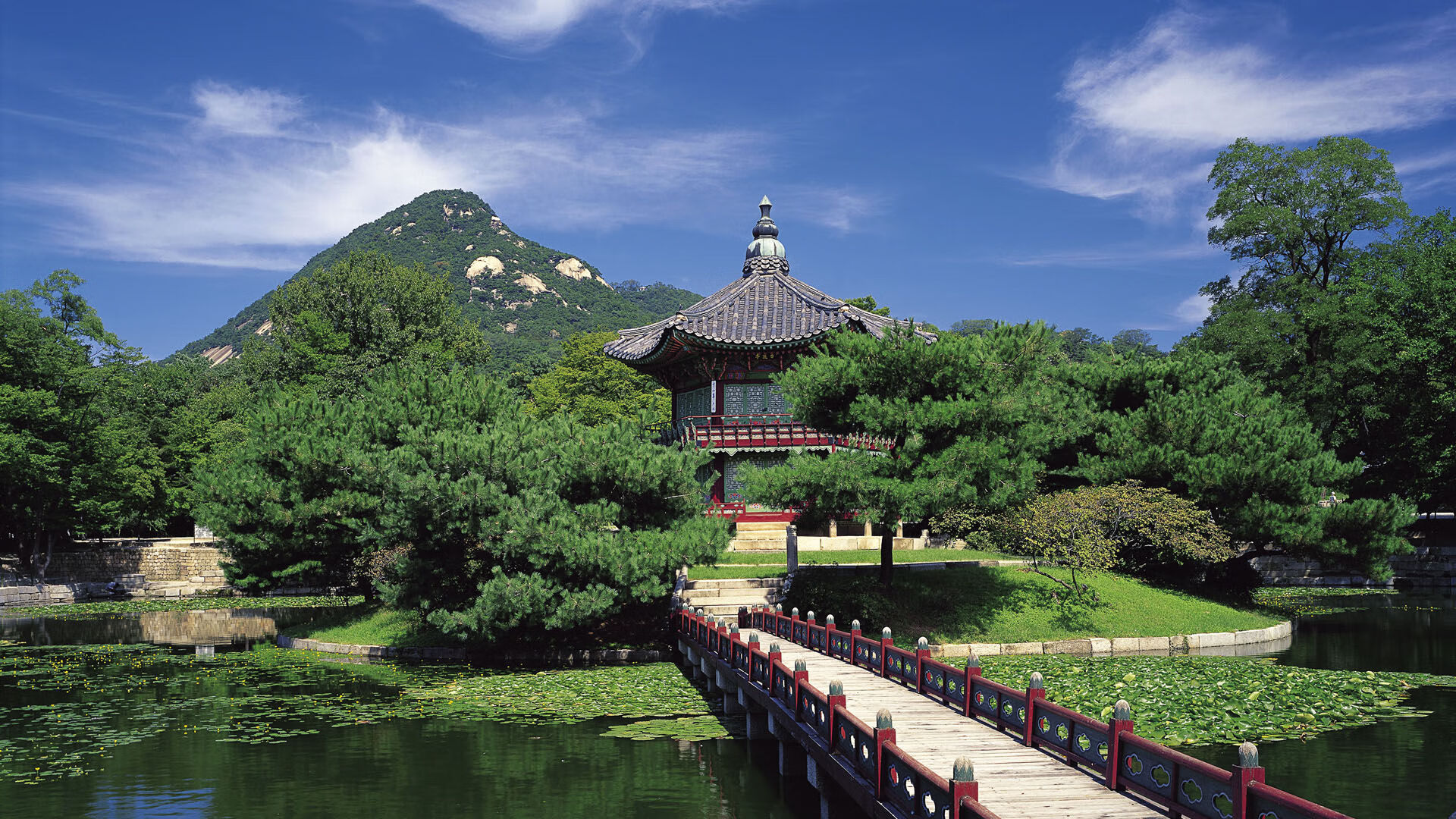 世界乒乓球联赛青训营导师授课视频第三辑上线，世界乒乓球联盟理事会